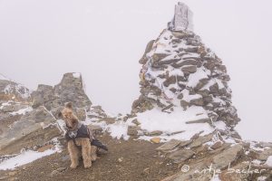 Bergdale Hochtouren 2018 - Schneesturm auf knapp 3000 m