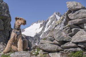 Bergdale Hochtouren 2018 - Blick auf Gabler und Reichenspitze