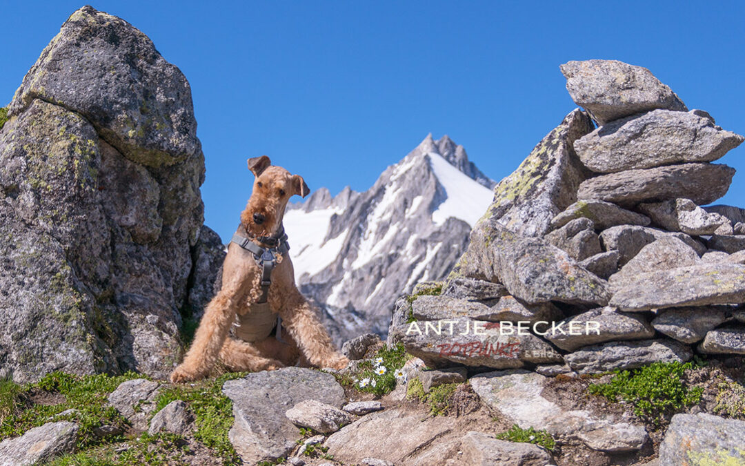 Der Bergdale ist zu seiner letzten Tour aufgebrochen