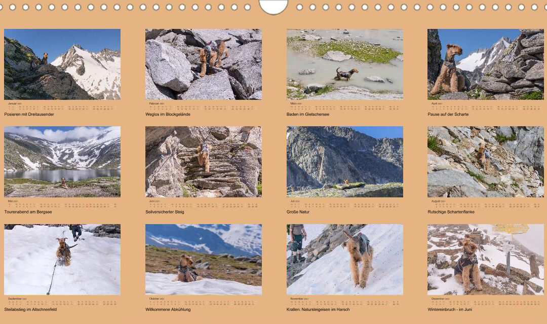 Ein neuer Bergdale-Kalender ist da – “Berg-Hunde-Sport”!