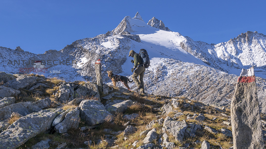 Lokis erste Ausbildungs-Hütten-Hochtour